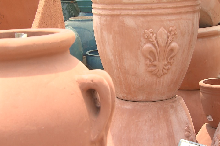 Pots can help plants reach their potential